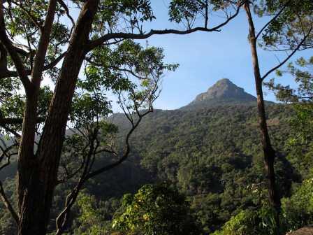 Randonnée au Sri Lanka